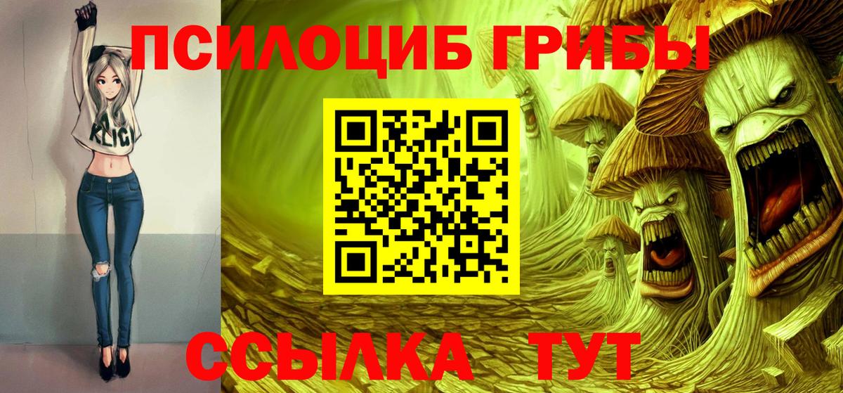 Псилоцибиновые грибы Cubensis Унеча