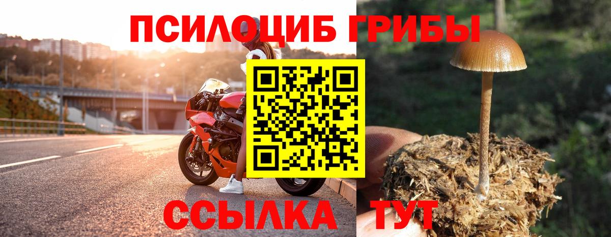 Галлюциногенные грибы мицелий  Вход с VPN  Унеча  Псилоцибиновые грибы мухоморы 